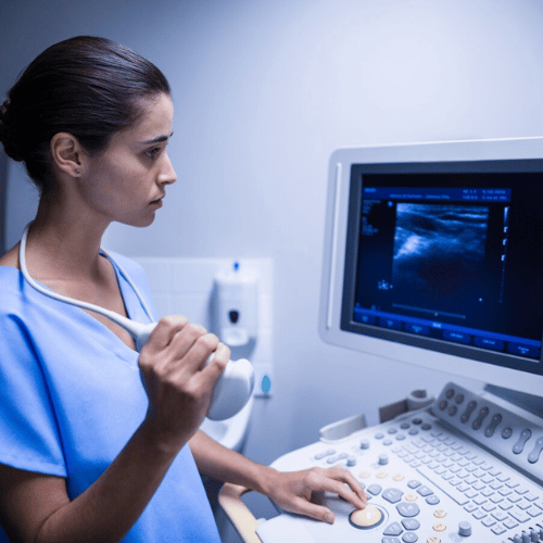 Cómo es la ecografía fetal en cada trimestre?