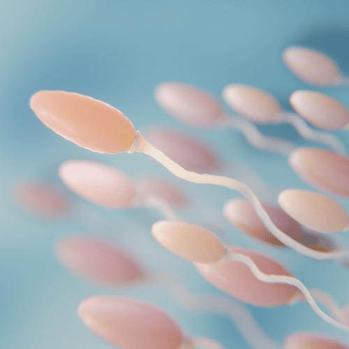 ¿Cuáles son los test de esperma más fiables