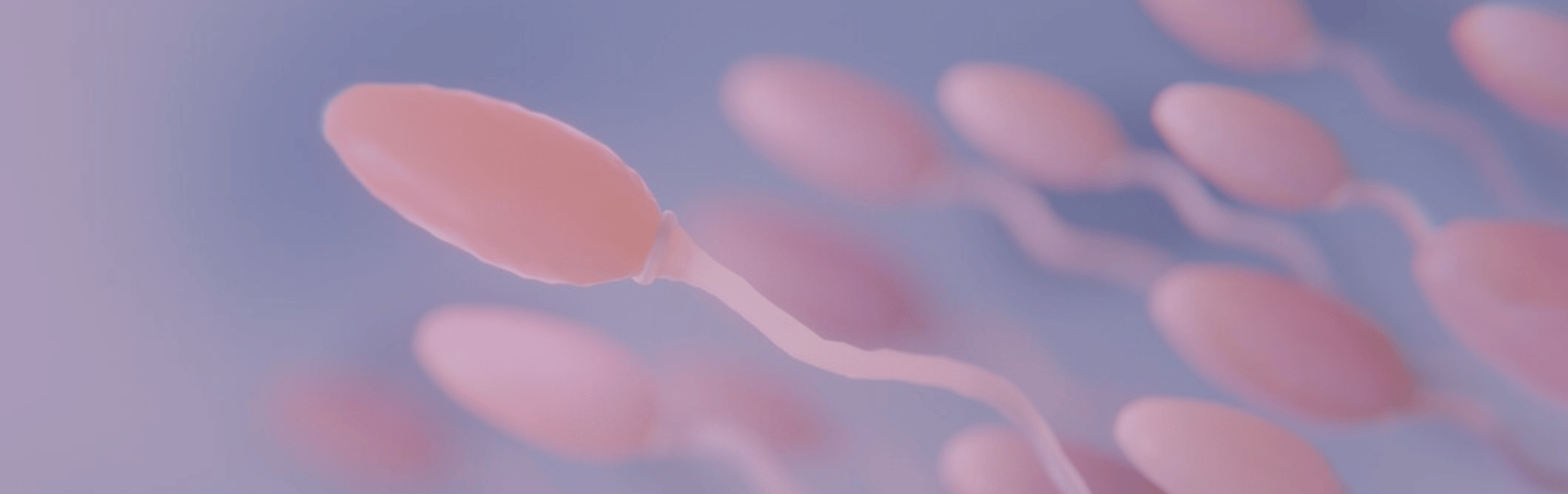 Pruebas diagnósticas de fertilidad para Hombre-Seminograma