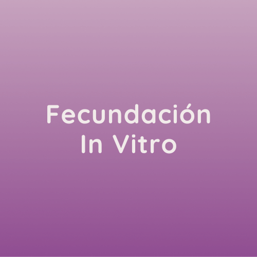 Fecundación in vitro tratamiento de reproducción asistida